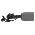 Seat Belt Receptacle - Rear, Center Main Image