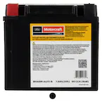 Vehicle Battery Main Image