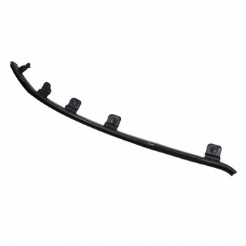 Door Seal Weatherstrip - Right, Rear