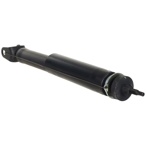 728835.jpg