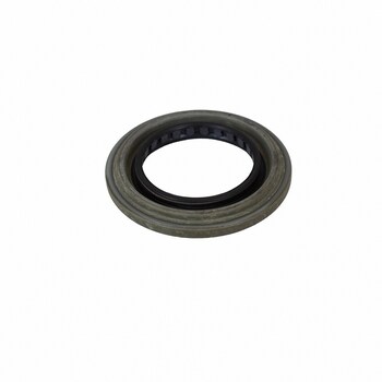 Differential Pinion Seal Oil - Rear 15, 18