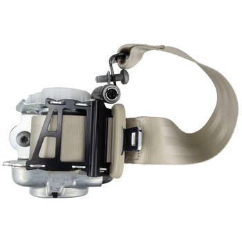 Seat Belt - Left, Rear