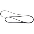 Serpentine Belt - 7.3L Main Image