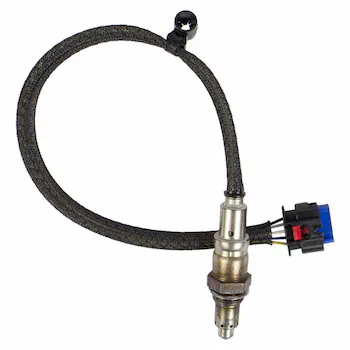 Oxygen Sensor HEGO - Right 5.0L (Dual Exhaust, 6-MT)