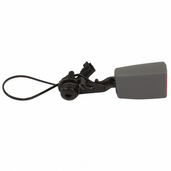 Seat Belt Receptacle - Rear, Center