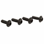Grille Emblem Screw Molding - 4 X 12 Main Image