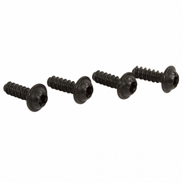 Grille Emblem Screw Molding - 4 X 12 Main Image