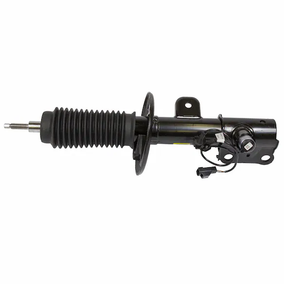 Suspension Strut - Right, Front Main Image