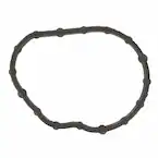 Engine Coolant Thermostat Gasket. Seal Thermostat. Main Image