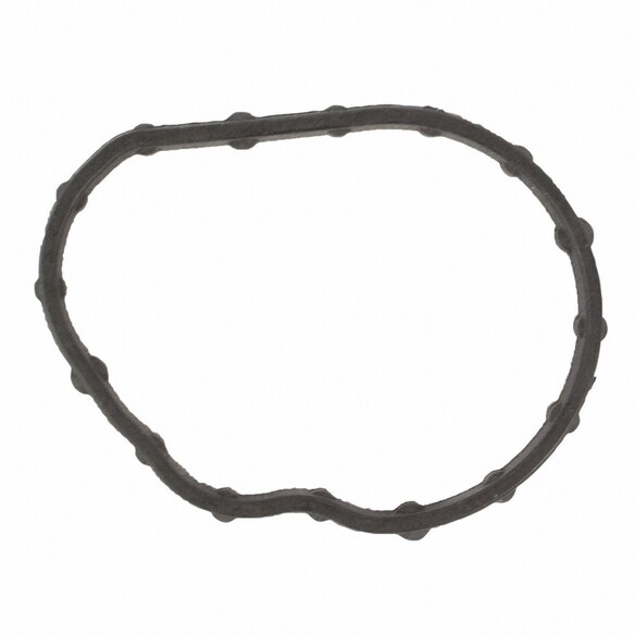 Engine Coolant Thermostat Gasket. Seal Thermostat. Main Image