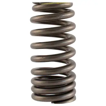 Engine Valve Spring