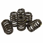 Engine Valve Spring Main Image