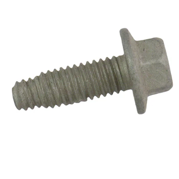 Bolt - M6 X 1.00