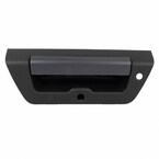 Tailgate Handle Main Image