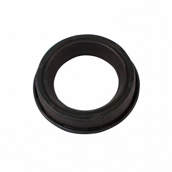 Pcv Valve Grommet Seal - 3.9L (Lincoln LS)