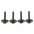 Screw And Spring Washer - 4.2 x 25MM Main Image