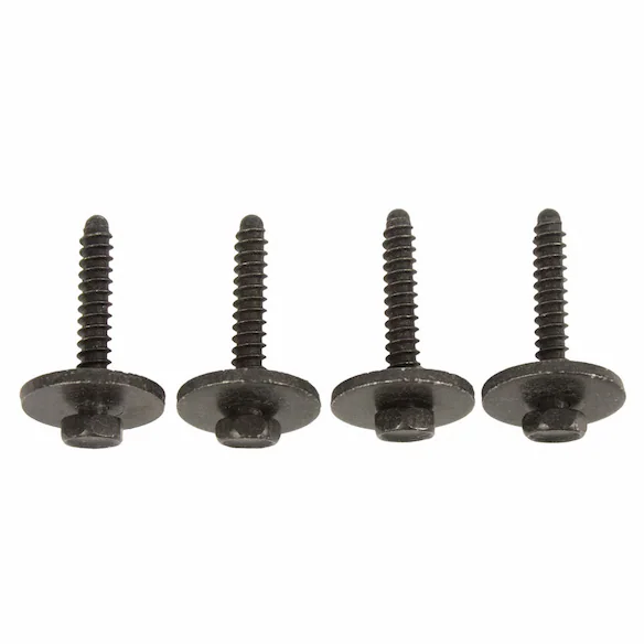 Screw And Spring Washer - 4.2 x 25MM Main Image