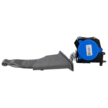 Seat Belt Lap and Shoulder - Rear