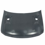 Hood Panel Extension (SVT) Main Image