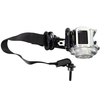 Seat Belt - Left, Right, Rear