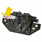 Hood Latch Main Image