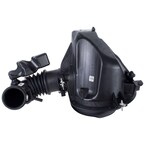 Cleaner Air - 5.0L (AT) Main Image