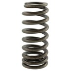 Engine Valve Spring - 5.2L Main Image