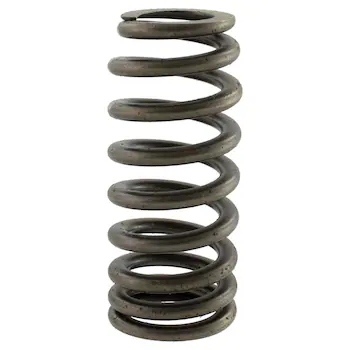 Engine Valve Spring - 5.2L