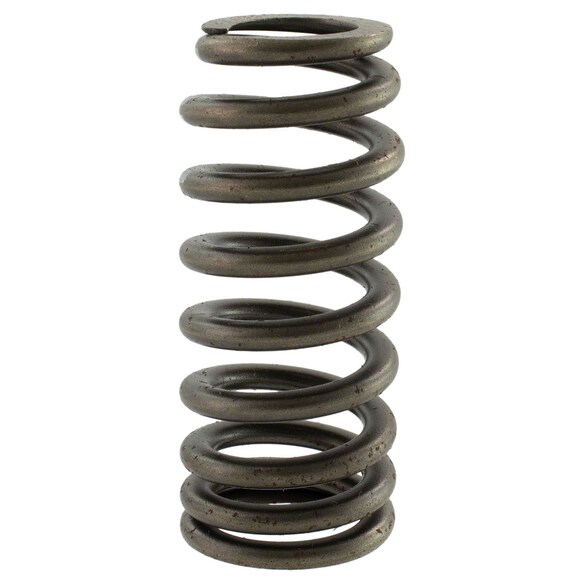 Engine Valve Spring - 5.2L Main Image