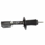 Suspension Strut Shock Absorber - Right, Front Main Image
