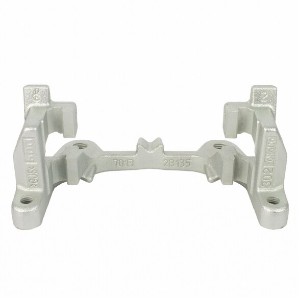 Disc Brake Caliper Bracket Plate BA - Left, Right, Rear (AT) Main Image