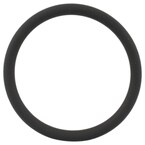Ring Sealing - 34.5MM 3.2L Main Image