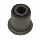 Leaf Spring Bushing - Rear (SVT) Main Image