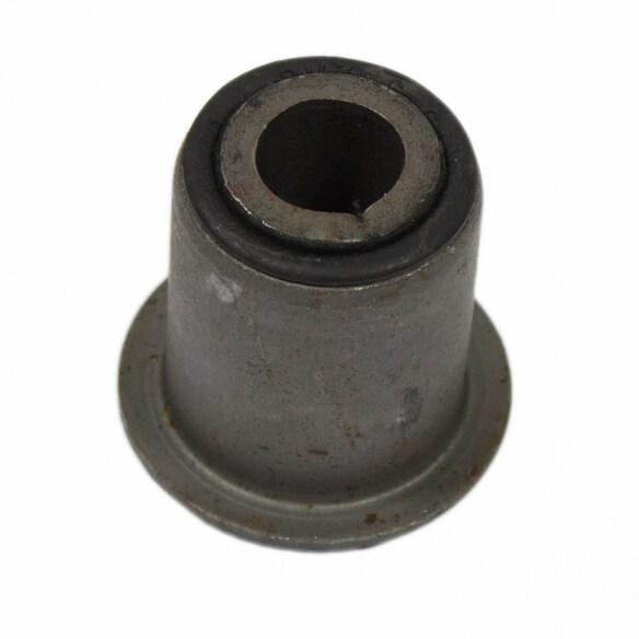 Leaf Spring Bushing - Rear (SVT) Main Image