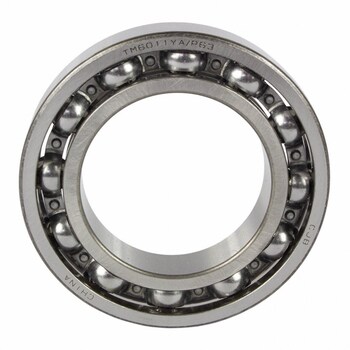 Transfer Case Input Shaft Bearing Roller (AT)
