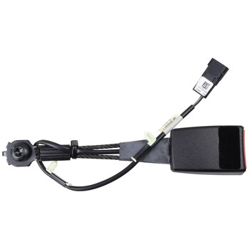 Buckle Seat Belt - Right, Front