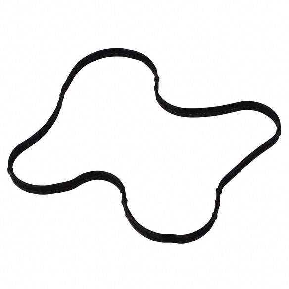 Engine Water Pump Gasket Main Image