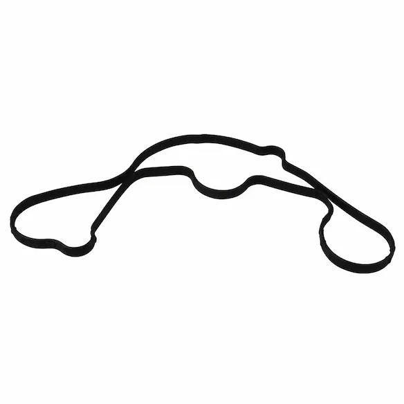 Engine Water Pump Gasket Main Image