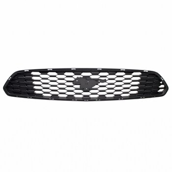 Radiator Grille - Front