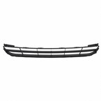 Bumper Grille - Front Main Image