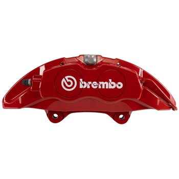 Disc Brake Caliper Paint - Right, Front