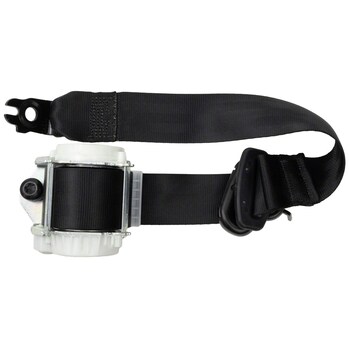 Seat Belt Lap and Shoulder - Left, Right, Rear