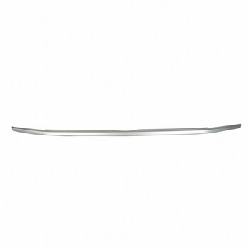 Grille Molding - Front