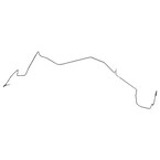 554894.jpg