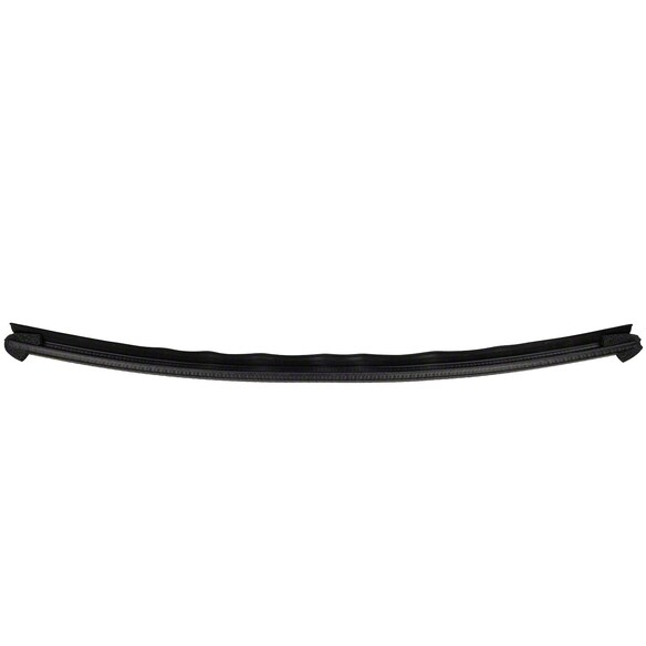Door Window Belt Weatherstrip - Left, Rear Main Image