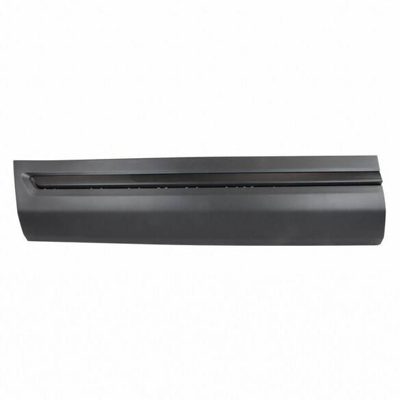 Exterior Door molding - Left (Police) Main Image