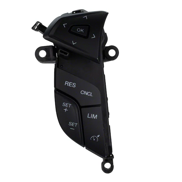 Cruise Control Switch Main Image