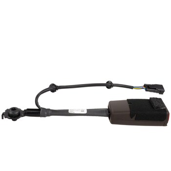 Seat Belt - Right, Front, Center