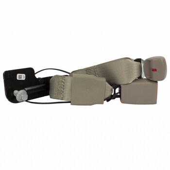 Seat Belt Receptacle And Buckle - Left, Rear