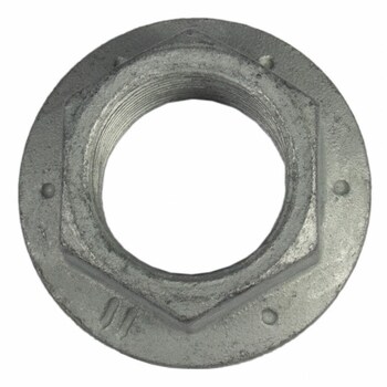 Hex Head Nut